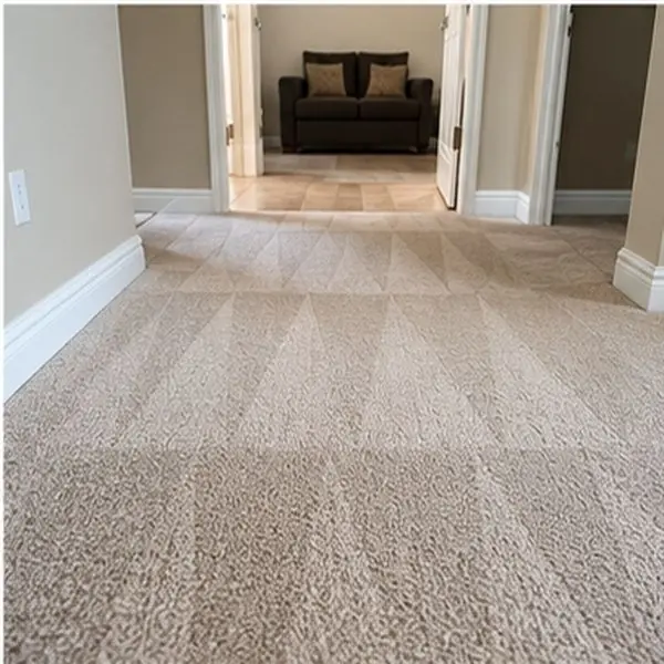Carpet cleaning results in Southbank VIC
